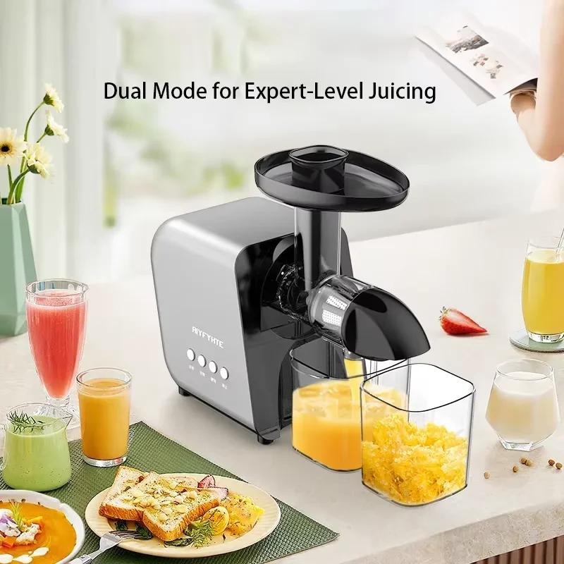 Cold Press Juicer - 250W Slow Cold Press Fruit Juice