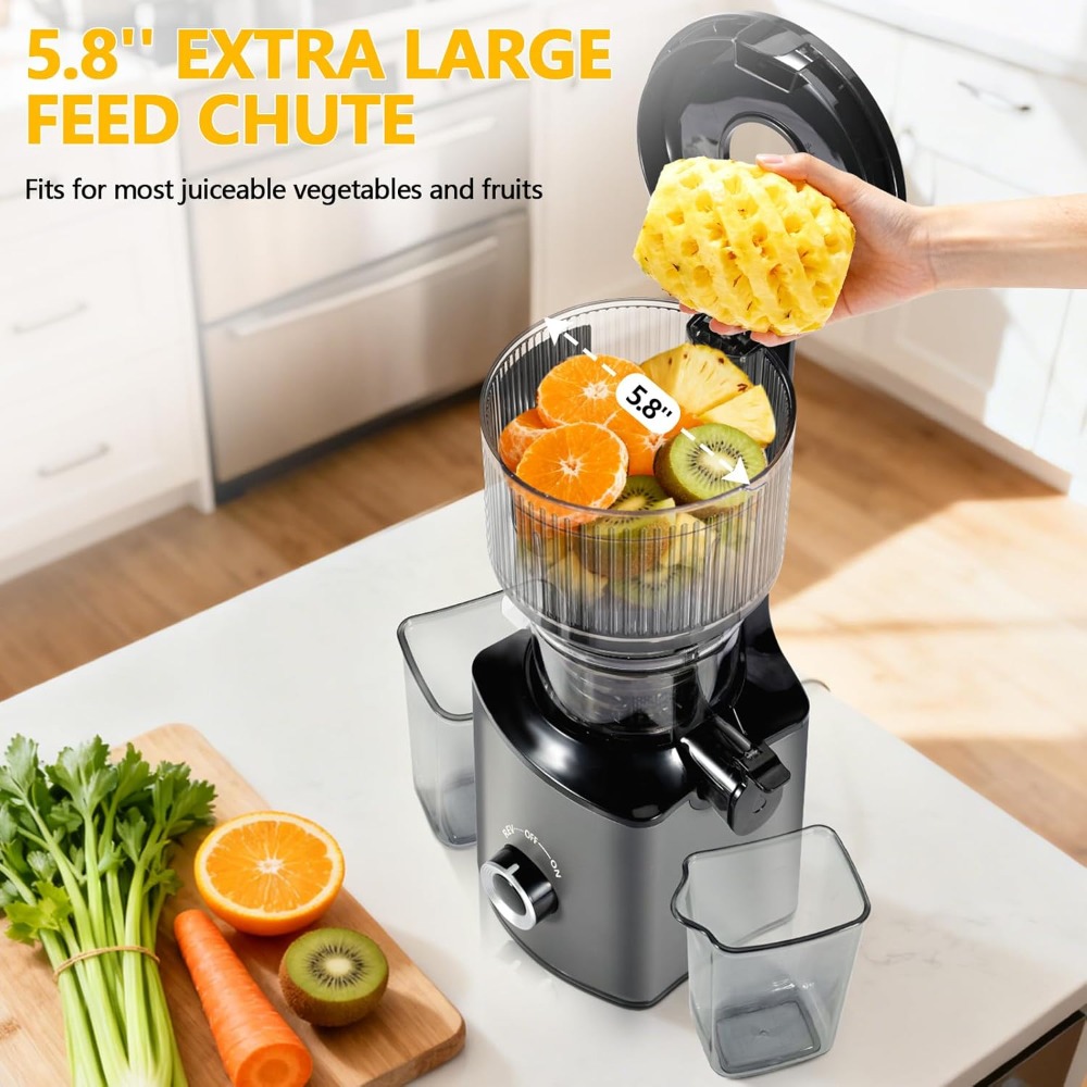 Cold Press Juicer with 5.8