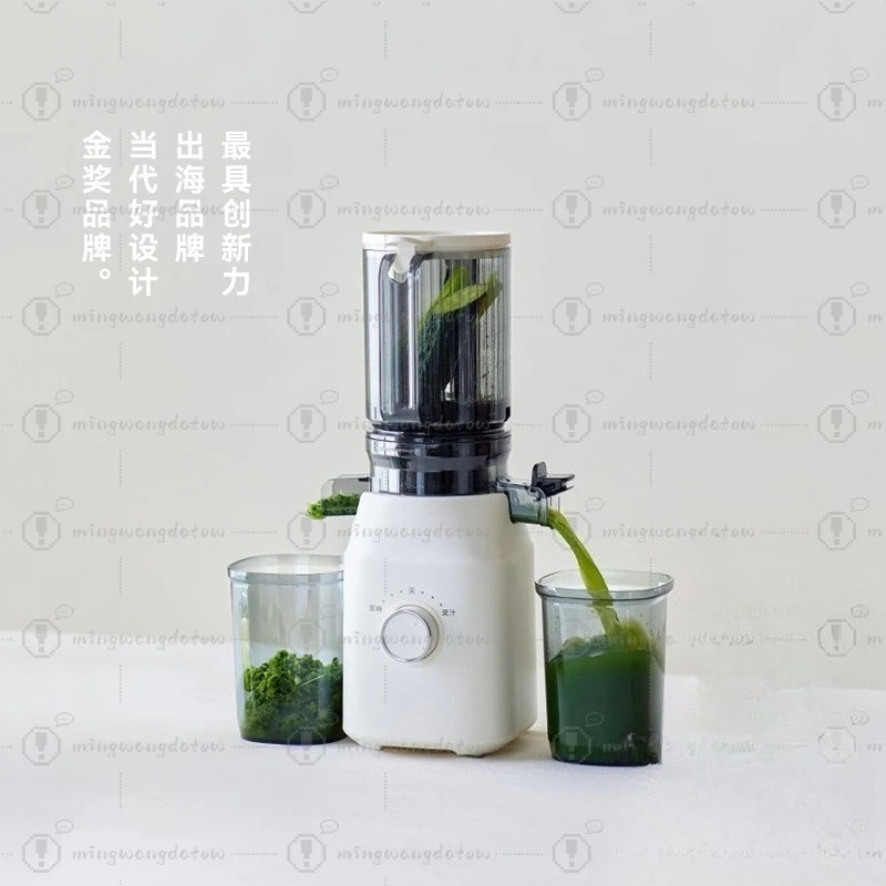 Slow Masticating Juicer with P - Cold Press Juicer avaliação e preço