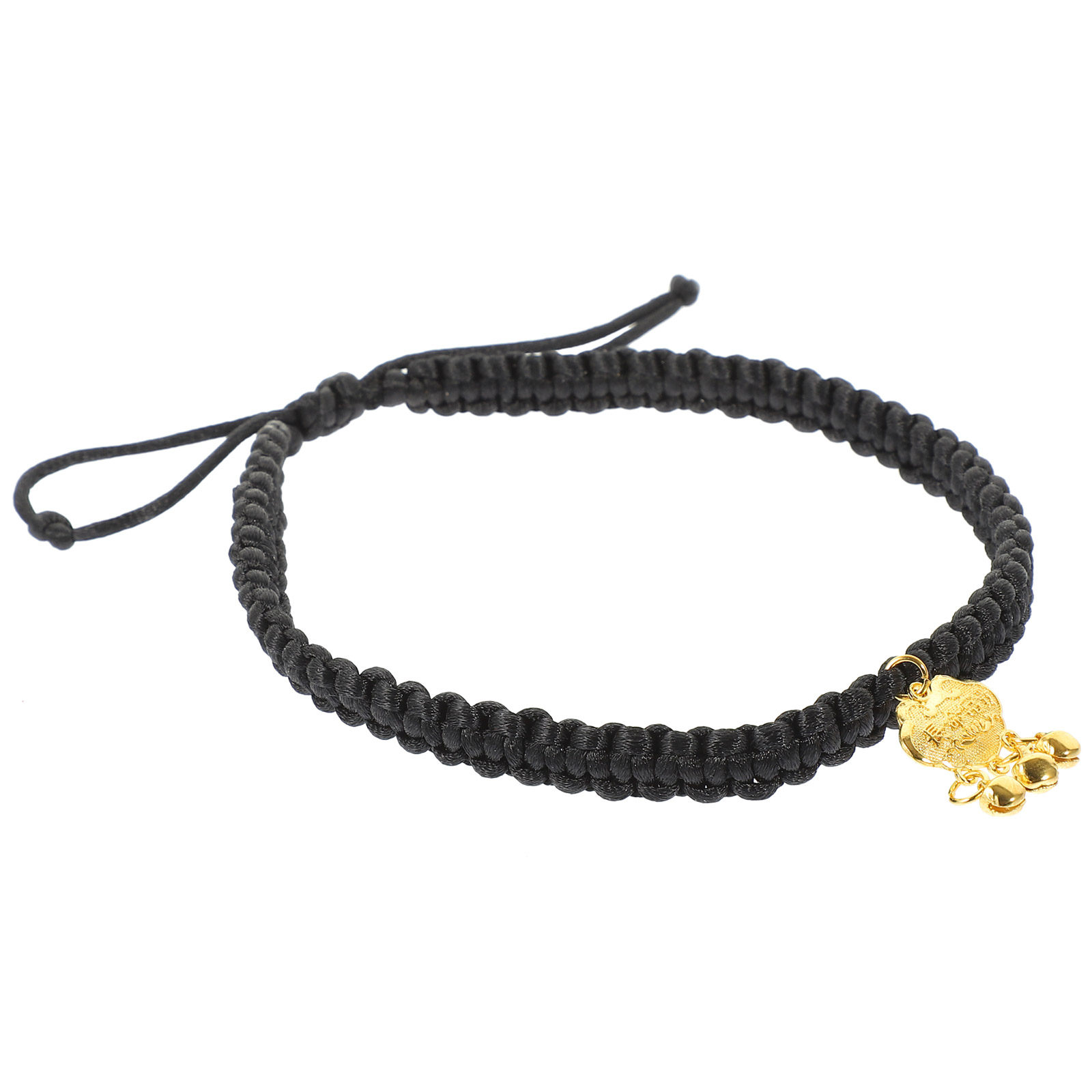 Gold Lock Pet Collar with Cris - Longevity Health & Wellness Hotel avaliação e preço