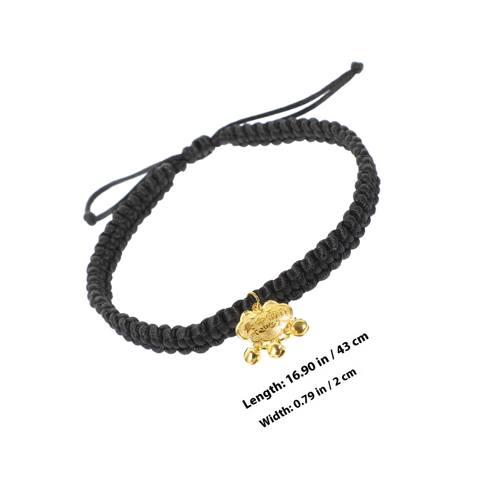 Gold Lock Pet Collar with Cris - Longevity Health & Wellness Hotel avaliação e preço