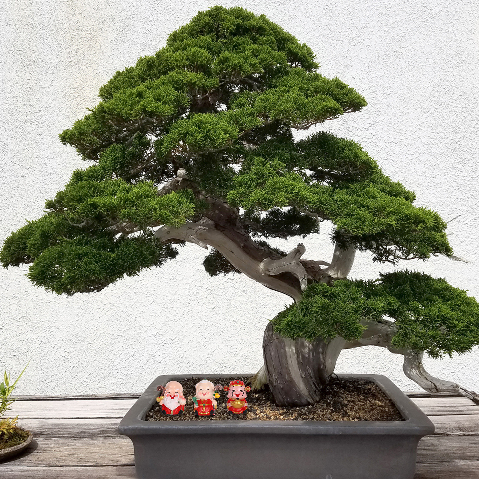 3Pcs Resin Chinese Elder Figur - Longevity Health & Wellness Hotel avaliação e preço