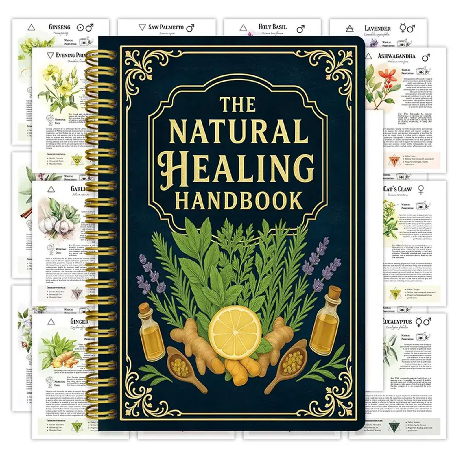 Natural Therapy Handbook, an E - Health & Wellness Fairs avaliação e preço