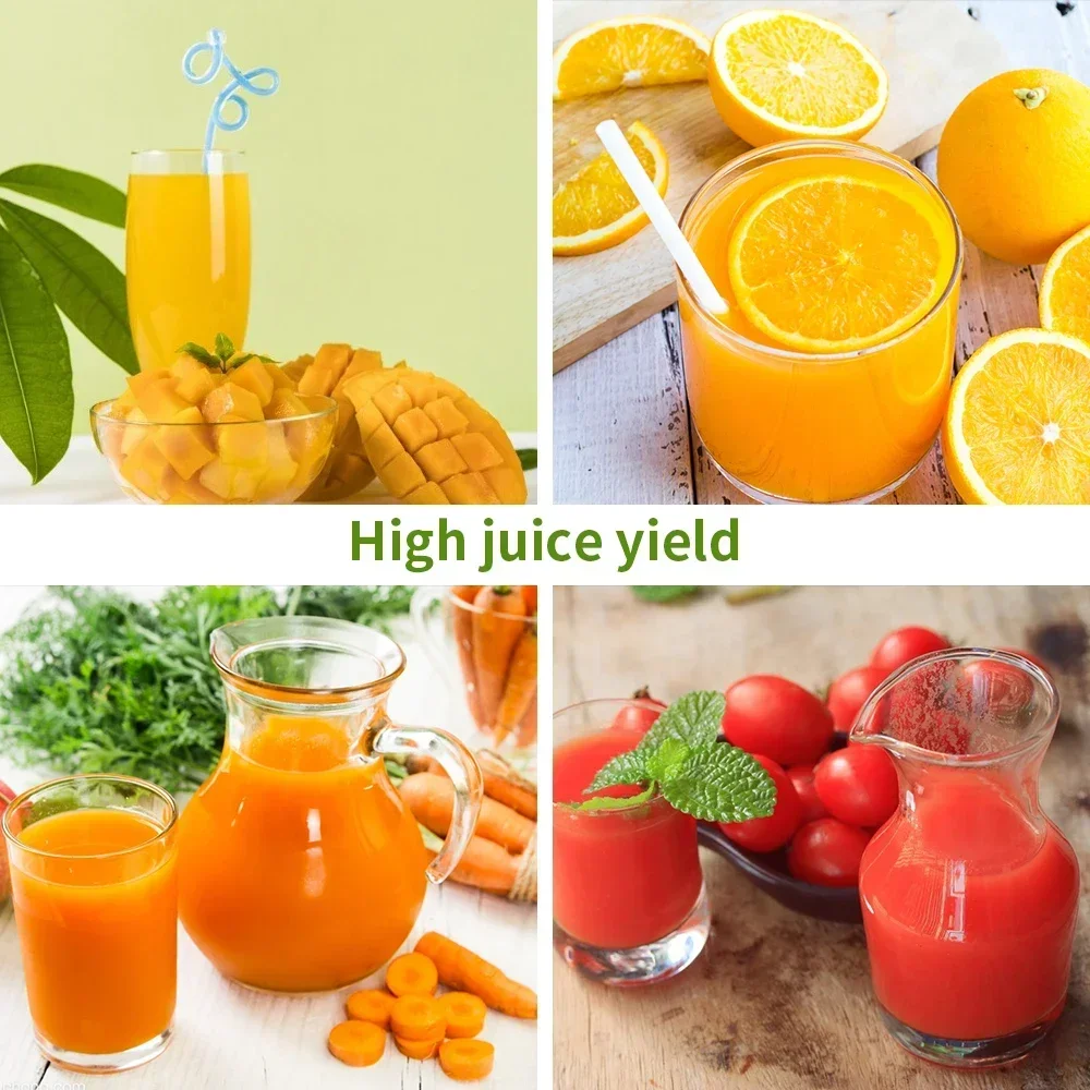 250W Slow Cold Press Fruit Jui - Cold Press Juicer avaliação e preço